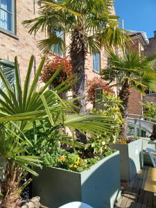 a garden with palm trees and plants in front of a building at Hotel Koffieboontje in Bruges