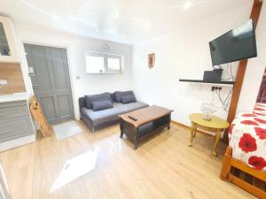 a living room with a couch and a tv at Studio apartment, TV, WiFi Kitchen Parking, Wembley Elizabeth Line in Northolt
