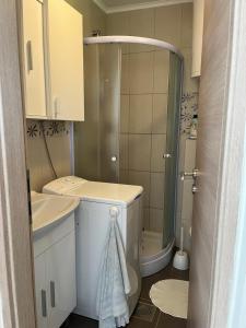 a bathroom with a shower and a toilet and a sink at Holiday House Sanja Private Terrace BBQ in Peaceful Surroundings in Medulin +43 photos