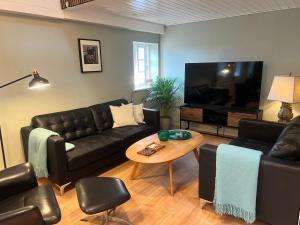ein Wohnzimmer mit einem Sofa, einem Tisch und einem TV in der Unterkunft Større luksus Hus ved Assens in Assens