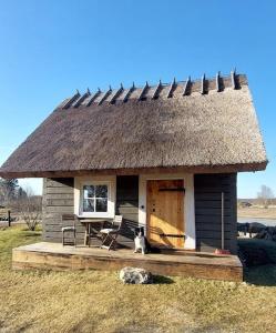 eine kleine Hütte mit einer Katze davor in der Unterkunft Leeotsa Talu Ait 