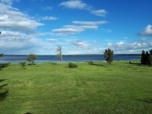 a green field with trees and water in the background at Leeotsa Talu Ait in Kasispea