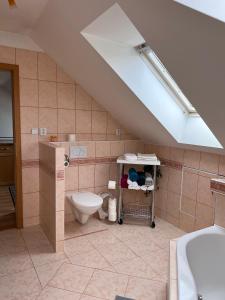 a attic bathroom with a toilet and a sink at Ubytování v soukromí na Vysočině 