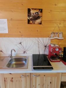a kitchen counter with a sink and a microwave at Agriturismo bio Apipoli in Lucino