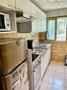 una cucina con frigorifero in acciaio inossidabile e lavandino di Les Ondes - Grande Terrasse RdC Calme Parking Proche Plage a Antibes