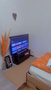 Televízia a/alebo spoločenská miestnosť v ubytovaní Home sweet home in Pau