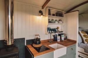 una cocina con fregadero y un hervidor de agua en una encimera en Luxury Shepherd's Hut on Flower Farm with Outdoor Bath in Mid Cornwall, en Truro