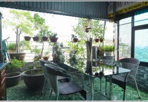 a table and chairs in a room with potted plants at HAPPY GUEST HOUSE in Hai Phong