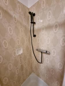 Vannituba majutusasutuses Pension DonauBlick Grein 1 , Spitzfeldstr 1