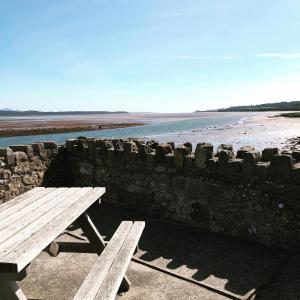 two wooden benches sitting next to a stone wall and the beach at SEREN cottage by the sea in Llangadwaladr