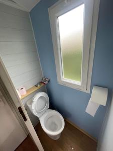 a bathroom with a toilet and a window at Le rêve bleu in Biville-sur-Mer