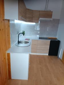 a kitchen with a sink and a counter top at MAGURA in Pszczeliny