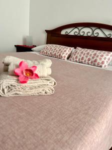 Gallery image of Ohana B&B in Marina di Camerota +19 photos