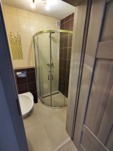 een badkamer met een glazen douche en een toilet bij "MAGNOLIA" - Noclegi Pod Górą Żar in Międzybrodzie Żywieckie