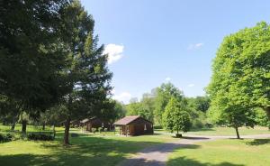 un petit champ planté d'arbres dans l'établissement Camping La Chapelle, 