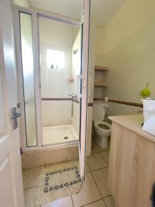 een badkamer met een douche en een toilet bij L'Oasis des Vacances in Albion
