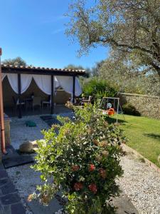 a garden with a gazebo and some flowers at Panorama Penthouse con giardino privato in Santadi