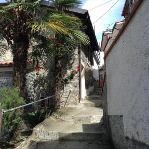 an alley with a palm tree next to a building at Casa SILVIO in Sesta Godano +7 photos