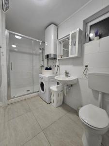 a bathroom with a shower and a toilet and a sink at Apartment Aria in Vinkovci