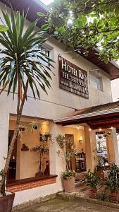 瓜魯雅的住宿－Hotel Rio，前面有棕榈树的酒店设备