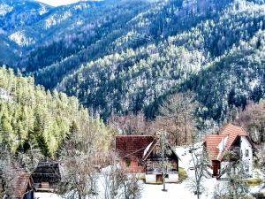 Příroda nedaleko apartmánu