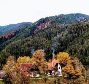 Příroda nedaleko apartmánu