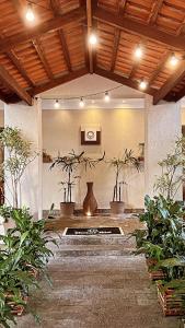 a room with plants and a vase on the wall at Hotel Rio in Guarujá