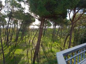 a view of a forest of trees from a balcony at I Velieri in Cesenatico +29 photos