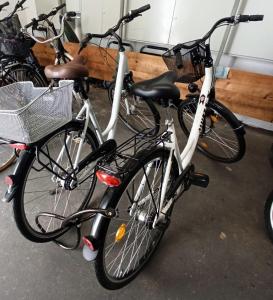 grupa rowerów zaparkowanych obok siebie w obiekcie Appartment Relaxtage w Zingst