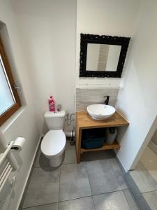 ein Badezimmer mit einem weißen WC und einem Waschbecken in der Unterkunft Appartement spacieux - proche centre et therme in Bagnères-de-Bigorre