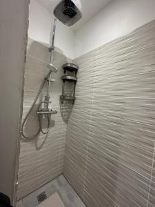a shower stall in a bathroom with a shower at Appartement spacieux - proche centre et therme in Bagnères-de-Bigorre