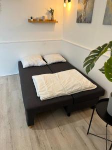 1 cama con 2 almohadas en una habitación en Appartement spacieux - proche centre et therme en Bagnères-de-Bigorre