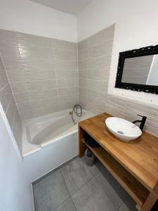 a bathroom with a sink and a bath tub at Appartement spacieux - proche centre et therme in Bagnères-de-Bigorre