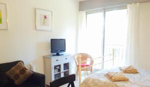Televízia a/alebo spoločenská miestnosť v ubytovaní St Tropez Studio
