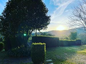 Paisaje cerca of this country house