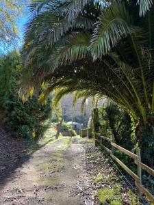 Jardín al aire libre en Casa Rural O Vilar
