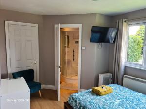 a room with a bed and a television and a bathroom at The Reading whole chalet with lake and two acre gardens in Reading