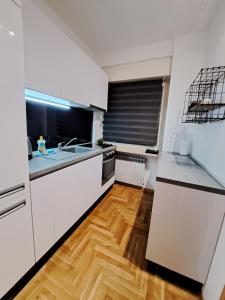 Kuchyň nebo kuchyňský kout v ubytování Friday Apartments