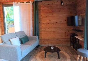 TV a/nebo společenská místnost v ubytování L'escapade du sud sauvage, la case