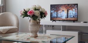 TV i/ili multimedijalni sistem u objektu Apartman A1