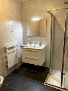 a bathroom with a sink and a shower at Studio Genovese in Ajaccio