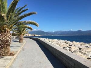 a sidewalk with two palm trees next to the water at Studio Genovese in Ajaccio