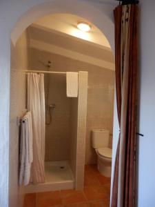 a bathroom with a shower and a toilet at B&B Casa Agradable in Arenas