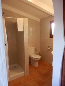 a bathroom with a toilet and a shower in it at B&B Casa Agradable in Arenas