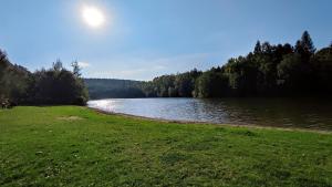 un campo de hierba junto a un cuerpo de agua en Penzion Nová Ves, en Litovel