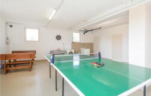 una pista de ping pong en una sala con mesa de ping pong en Casa Pra Bene Vagienna, en Bene Vagienna