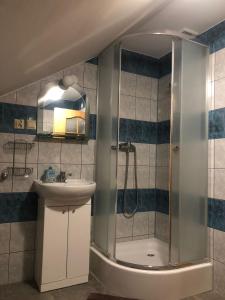 y baño con ducha y lavamanos. en Knieja u Andrzeja, en Lutowiska