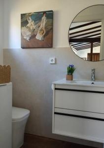 een badkamer met een wastafel, een spiegel en een toilet bij El Nial de Los Pinos in Ojedo