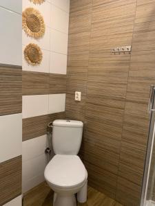 ein Badezimmer mit einem weißen WC und einer Dusche in der Unterkunft Jasmin in Stegna