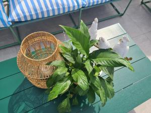 Fotografie z fotogalerie ubytování El Jardin de Gala v destinaci Castejón de Monegros